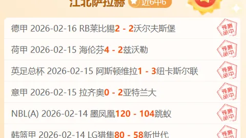 卢赞球员拼搏精神 两场NBA失利因运气不足